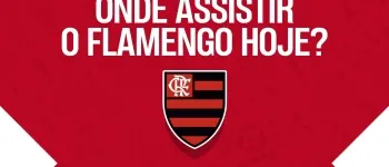 Previsões para o próximo jogo do Flamengo