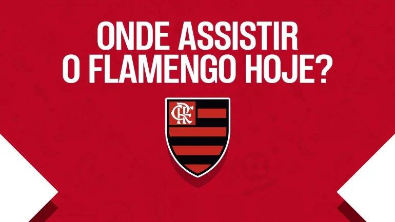 Flamengo next match predictions