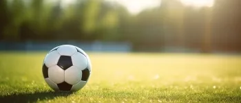 Online communities for soccer fans and bettors: combining leisure and strategy